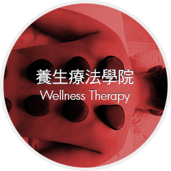 wellness-therapy